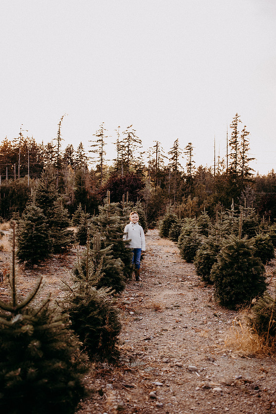 Christmas Tree Farm Session | Skana Sloman Photography 