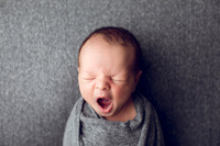 Poulsbo Newborn Photographer