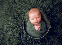 Poulsbo Newborn Photographer