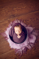 Poulsbo Newborn Photographer