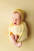 Poulsbo Newborn Photographer