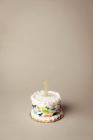 poulsbo cake smash photographer
