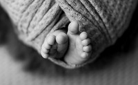 Poulsbo Newborn Photographer